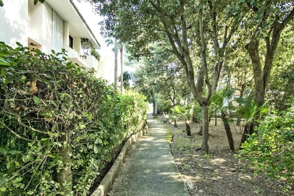 Fantastico Apartamento Con Wifi Port de Pollença Dış mekan fotoğraf